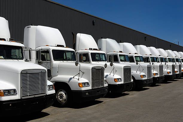 Haulage Services